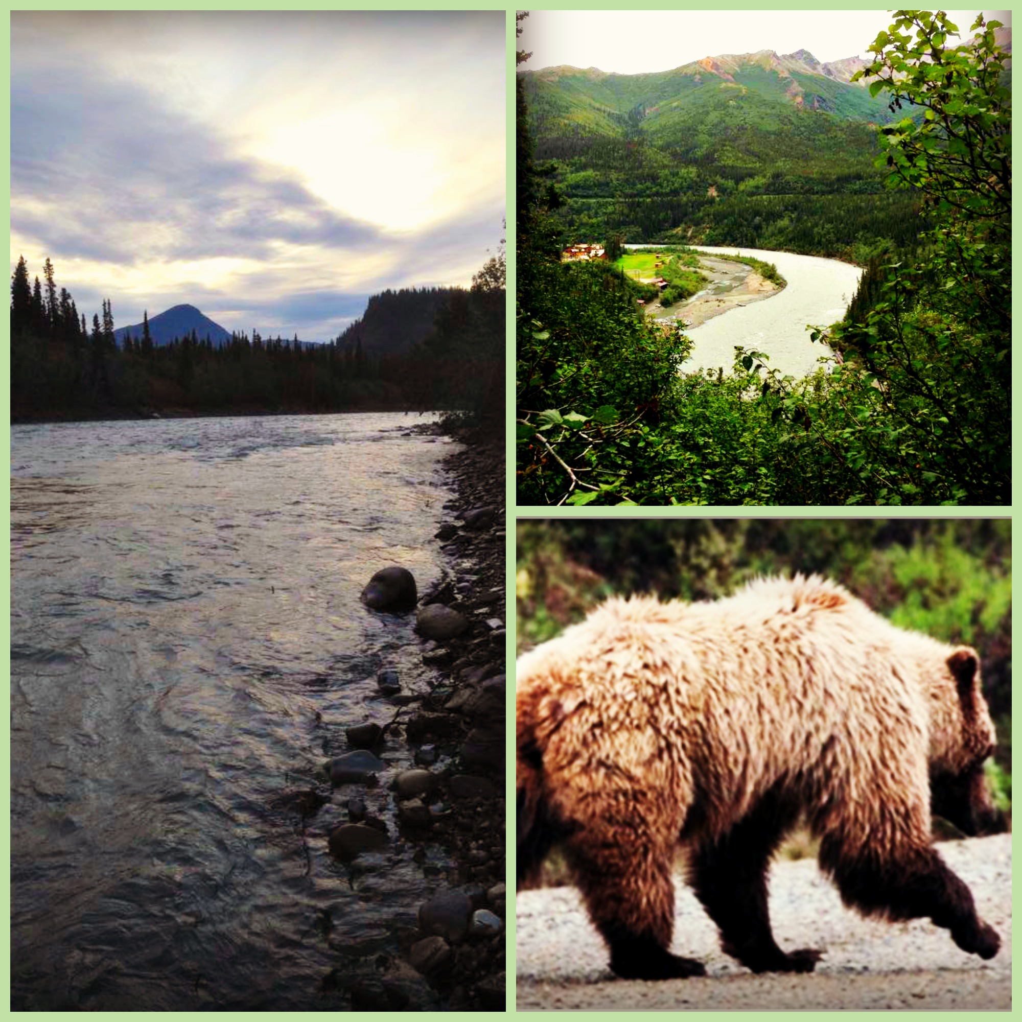 Alaska Range Collage